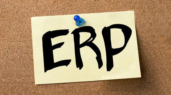 如何确保ERP软件的高效实施？
